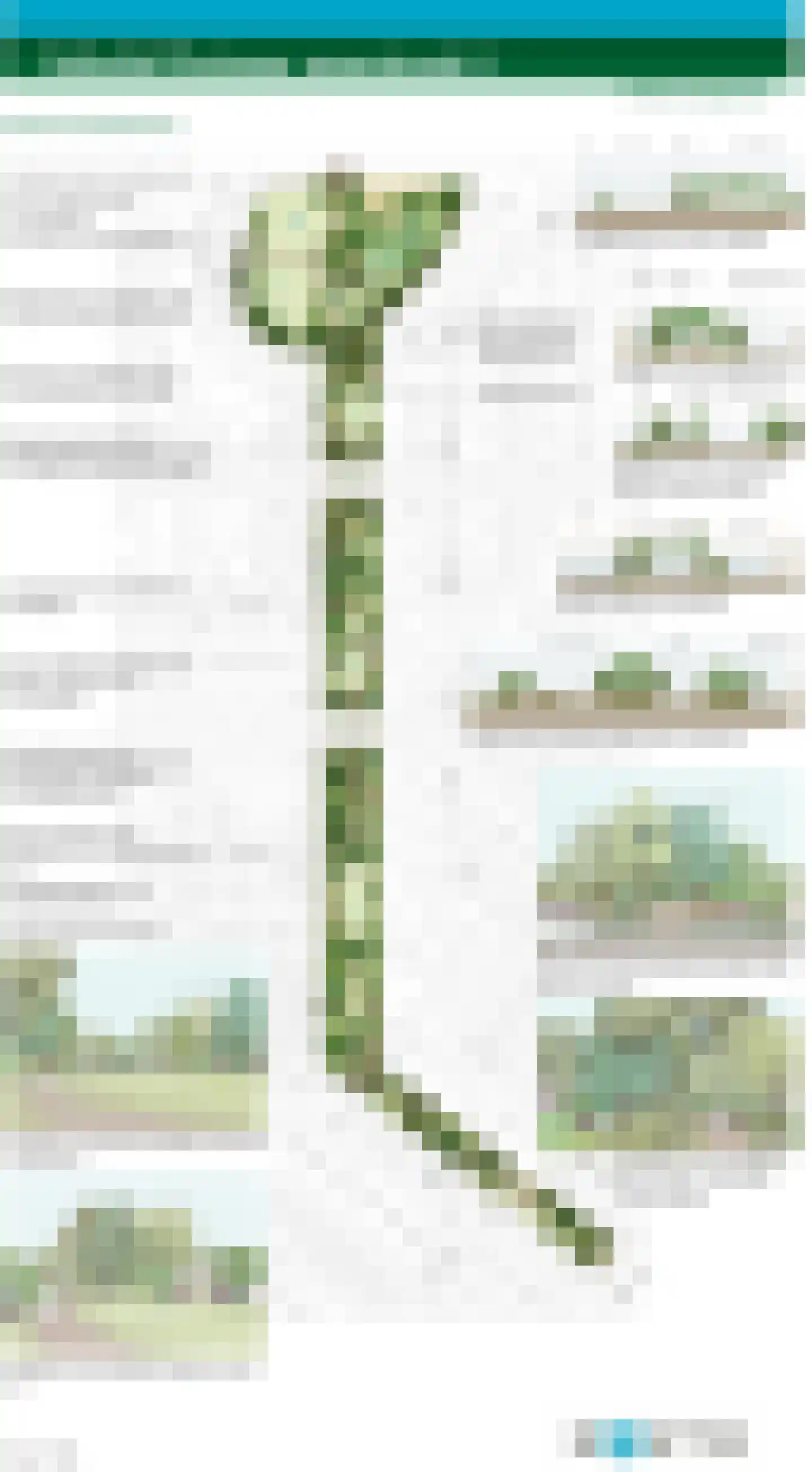 Himalaya 1 Assendelft thumbnail 45