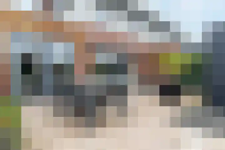 Himalaya 14 Assendelft thumbnail 14