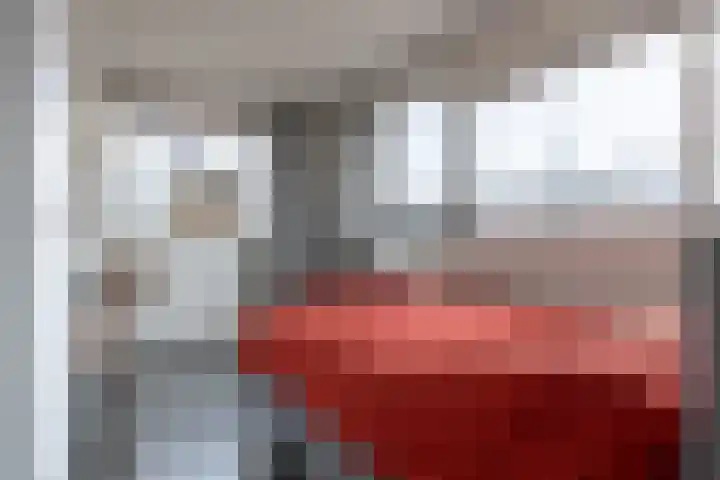 Himalaya 14 Assendelft thumbnail 18