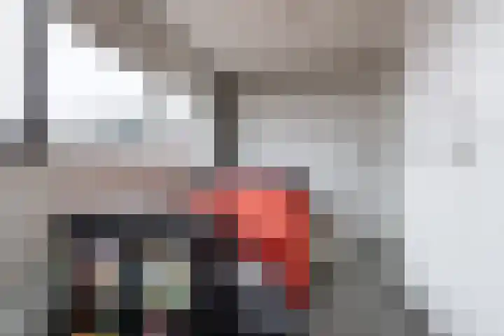 Himalaya 14 Assendelft thumbnail 19