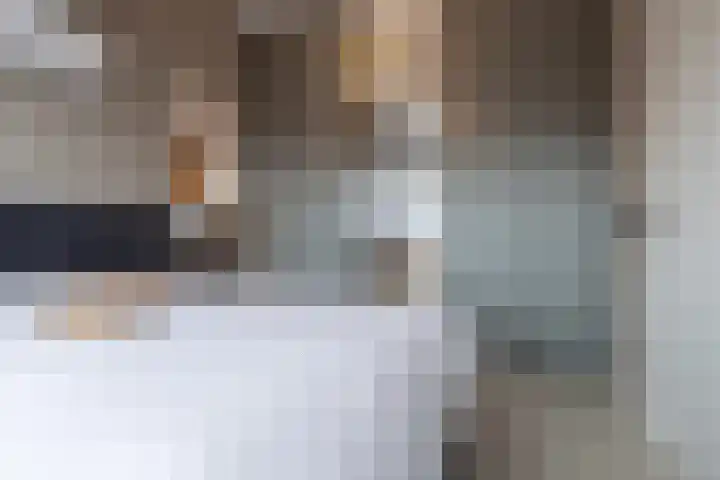 Himalaya 14 Assendelft thumbnail 29