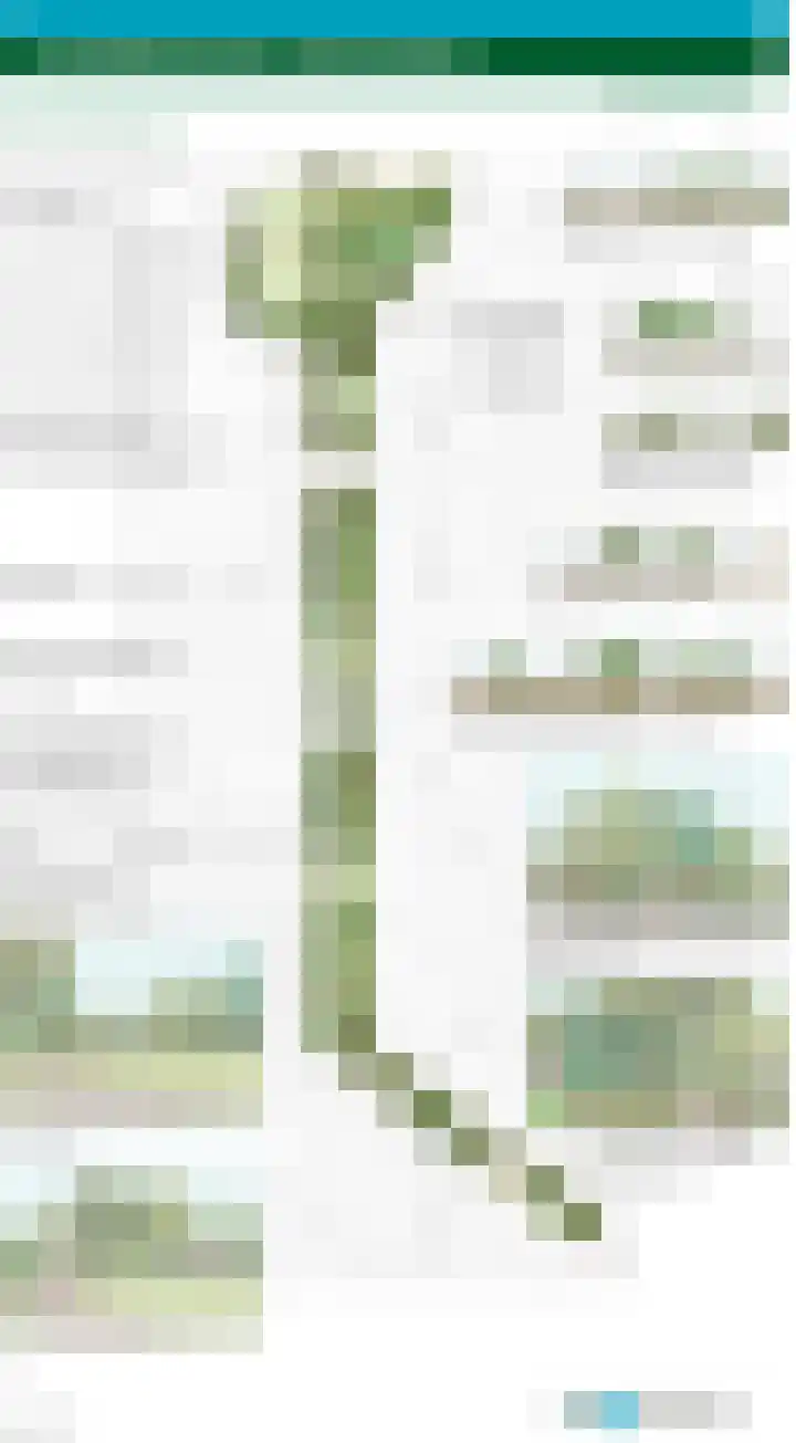 Himalaya 14 Assendelft thumbnail 32