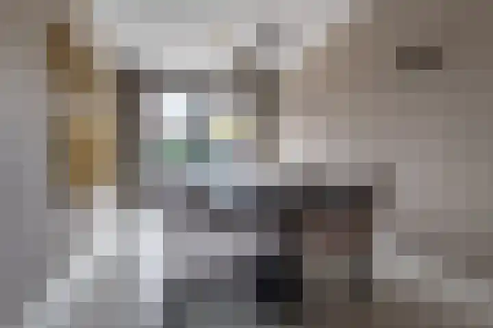 Himalaya 14 Assendelft thumbnail 4