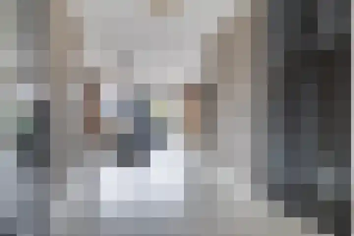 Himalaya 14 Assendelft thumbnail 6