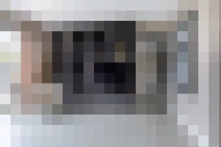 Himalaya 14 Assendelft thumbnail 8
