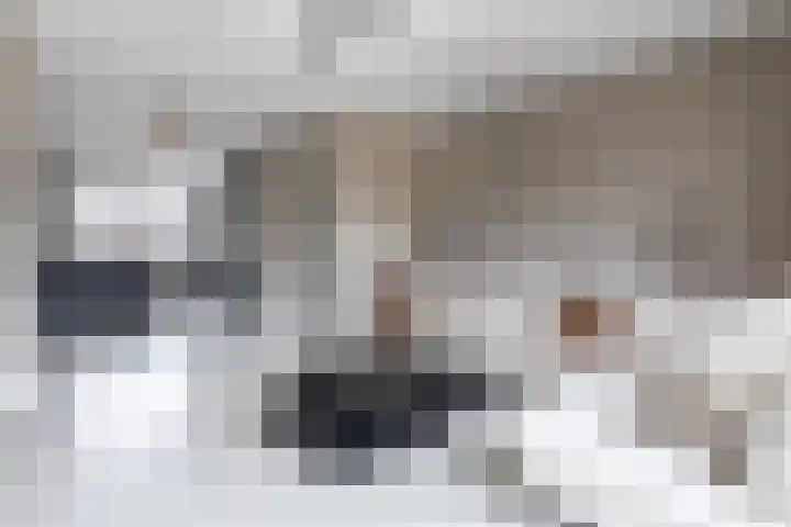 Himalaya 14 Assendelft thumbnail 9