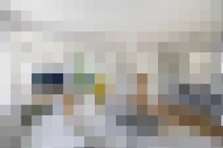 Himalaya 33 Utrecht thumbnail 13