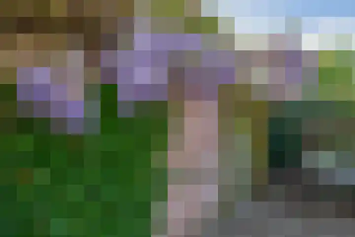 Himalaya 33 Utrecht thumbnail 16