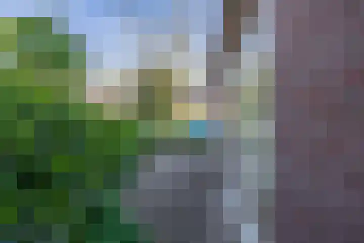Himalaya 33 Utrecht thumbnail 18
