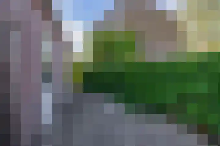 Himalaya 33 Utrecht thumbnail 19