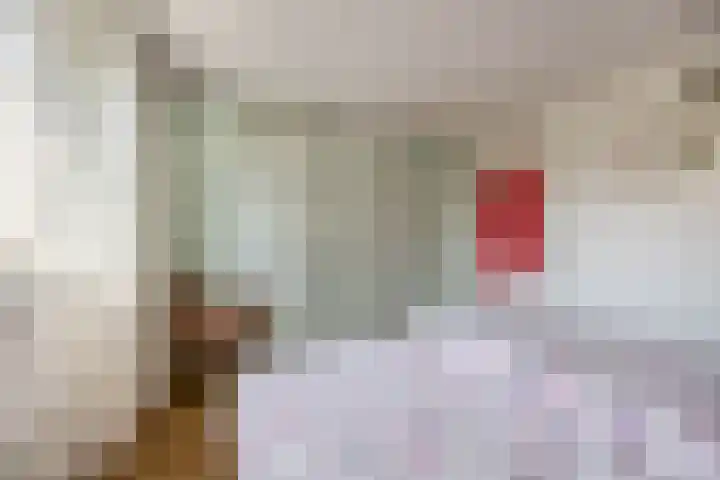 Himalaya 33 Utrecht thumbnail 22