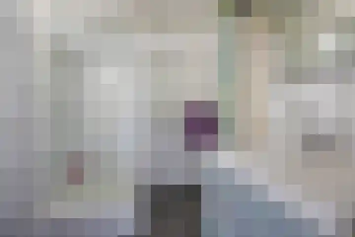 Himalaya 33 Utrecht thumbnail 23