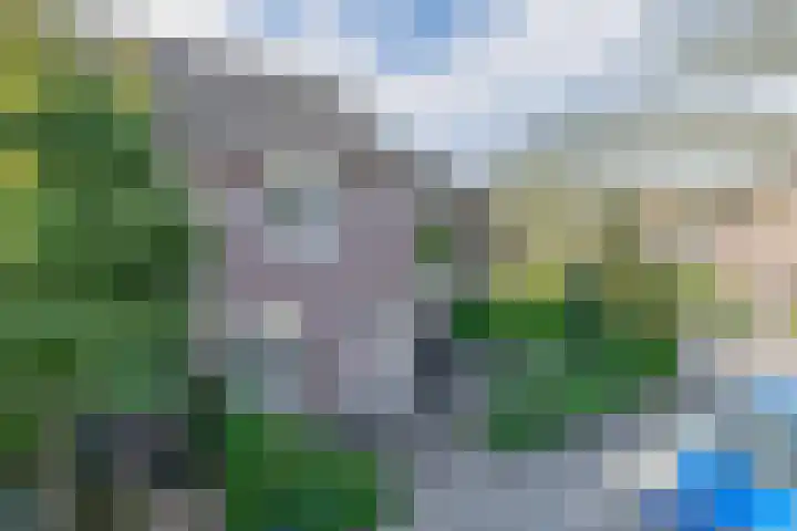 Himalaya 33 Utrecht thumbnail 32