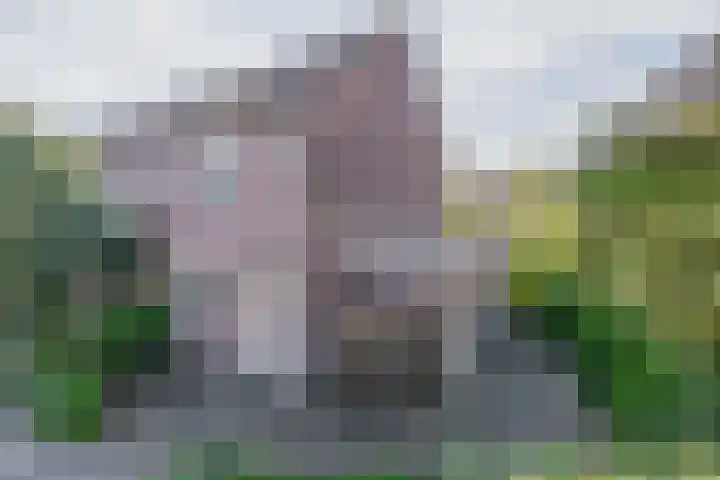Himalaya 33 Utrecht thumbnail 33