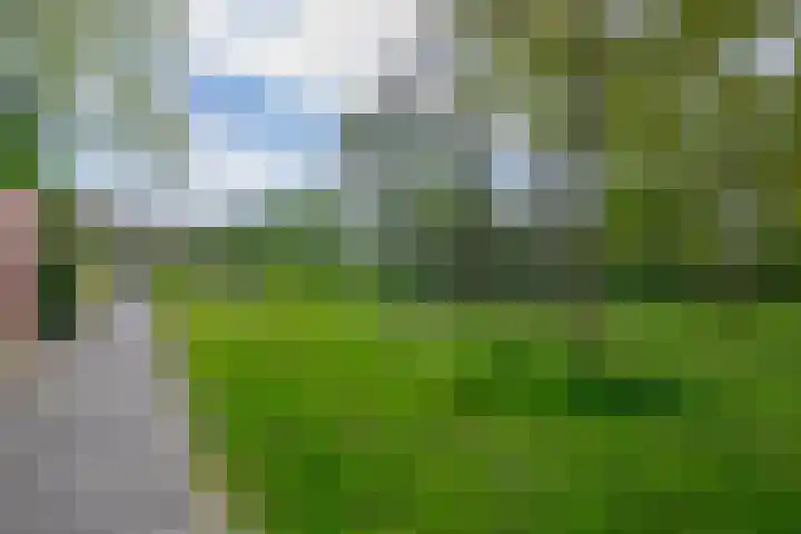 Himalaya 33 Utrecht thumbnail 34