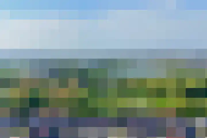 Himalaya 33 Utrecht thumbnail 35