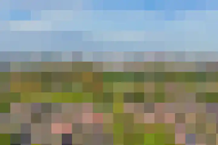 Himalaya 33 Utrecht thumbnail 36