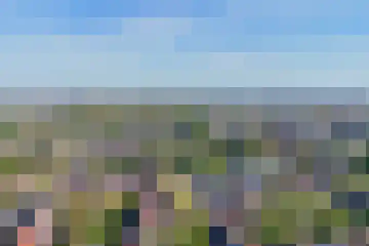 Himalaya 33 Utrecht thumbnail 37