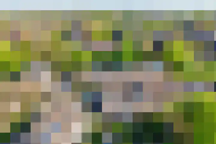 Himalaya 33 Utrecht thumbnail 39