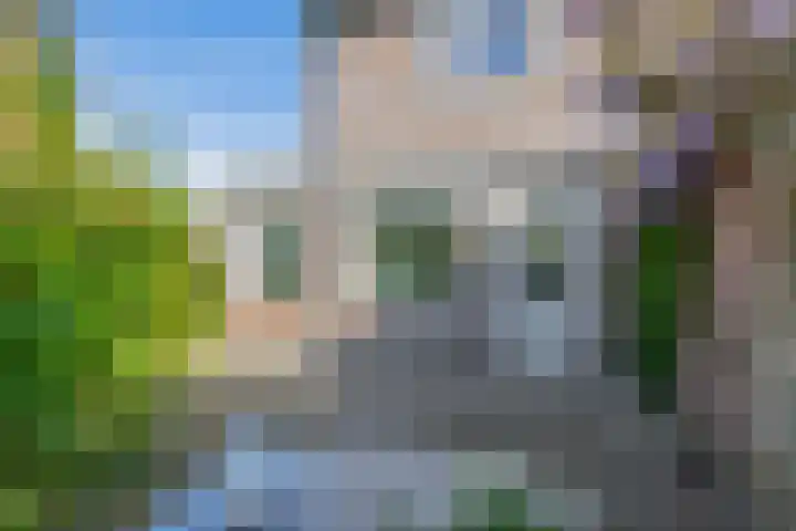 Himalaya 33 Utrecht thumbnail 4