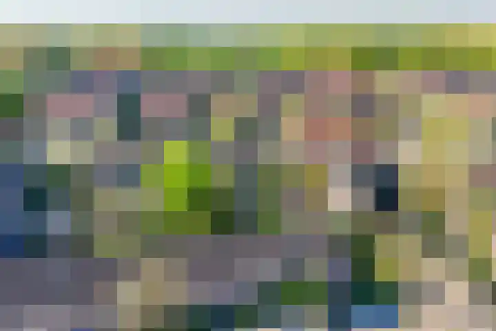 Himalaya 33 Utrecht thumbnail 40