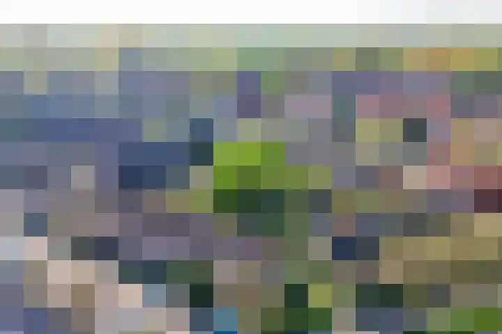 Himalaya 33 Utrecht thumbnail 42