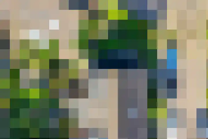 Himalaya 33 Utrecht thumbnail 43