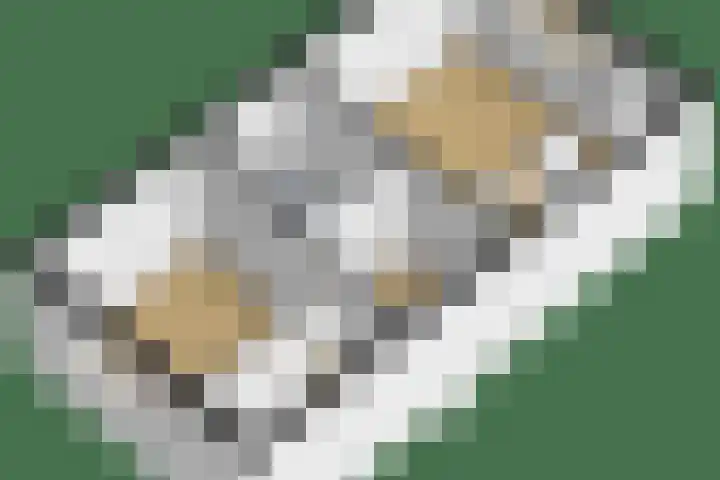 Himalaya 33 Utrecht thumbnail 47