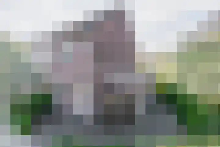 Himalaya 33 Utrecht thumbnail 5