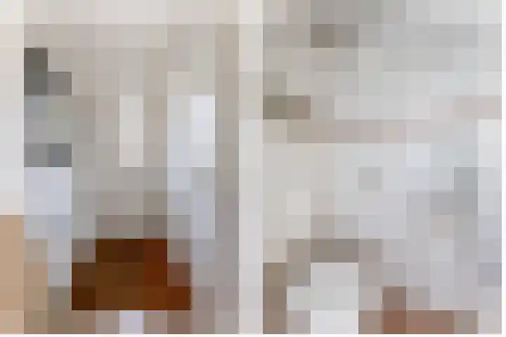 Himalaya 33 Utrecht thumbnail 6