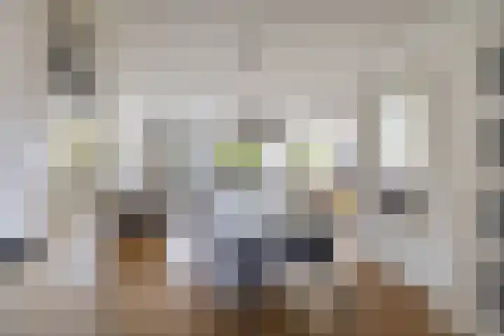 Himalaya 33 Utrecht thumbnail 8
