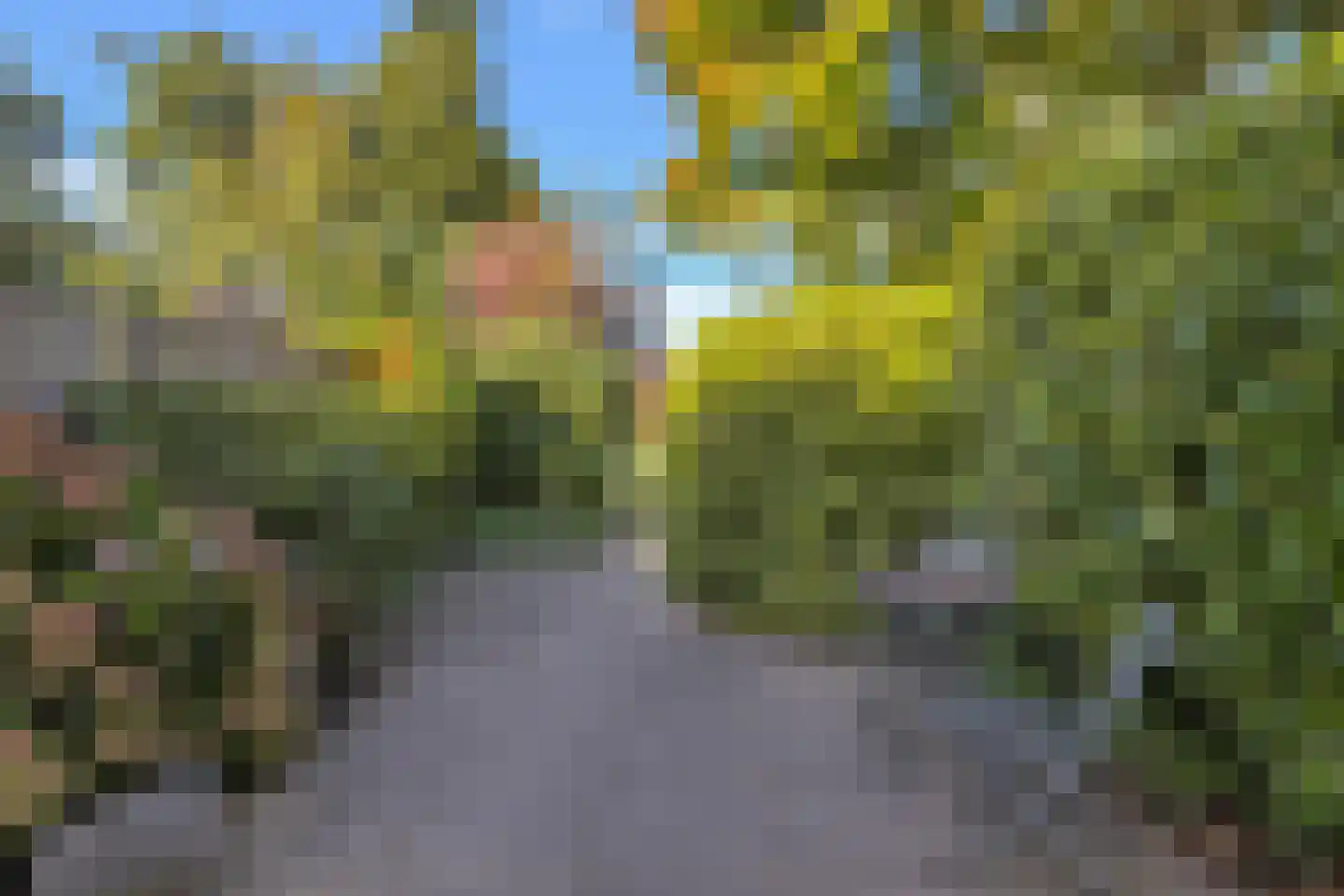 Himalaya 84 Utrecht thumbnail 30