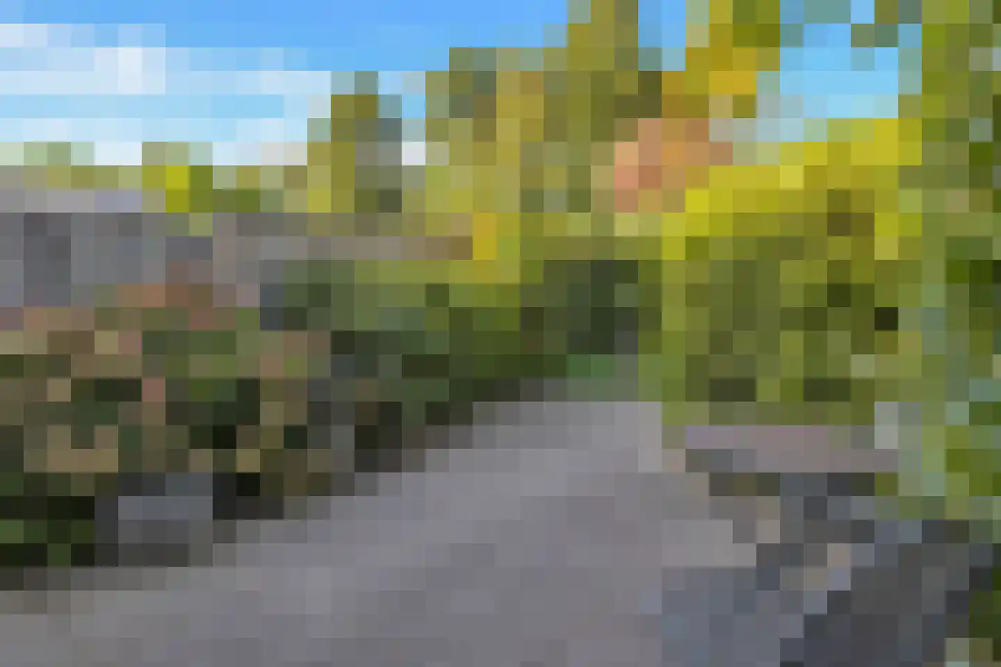Himalaya 84 Utrecht thumbnail 31