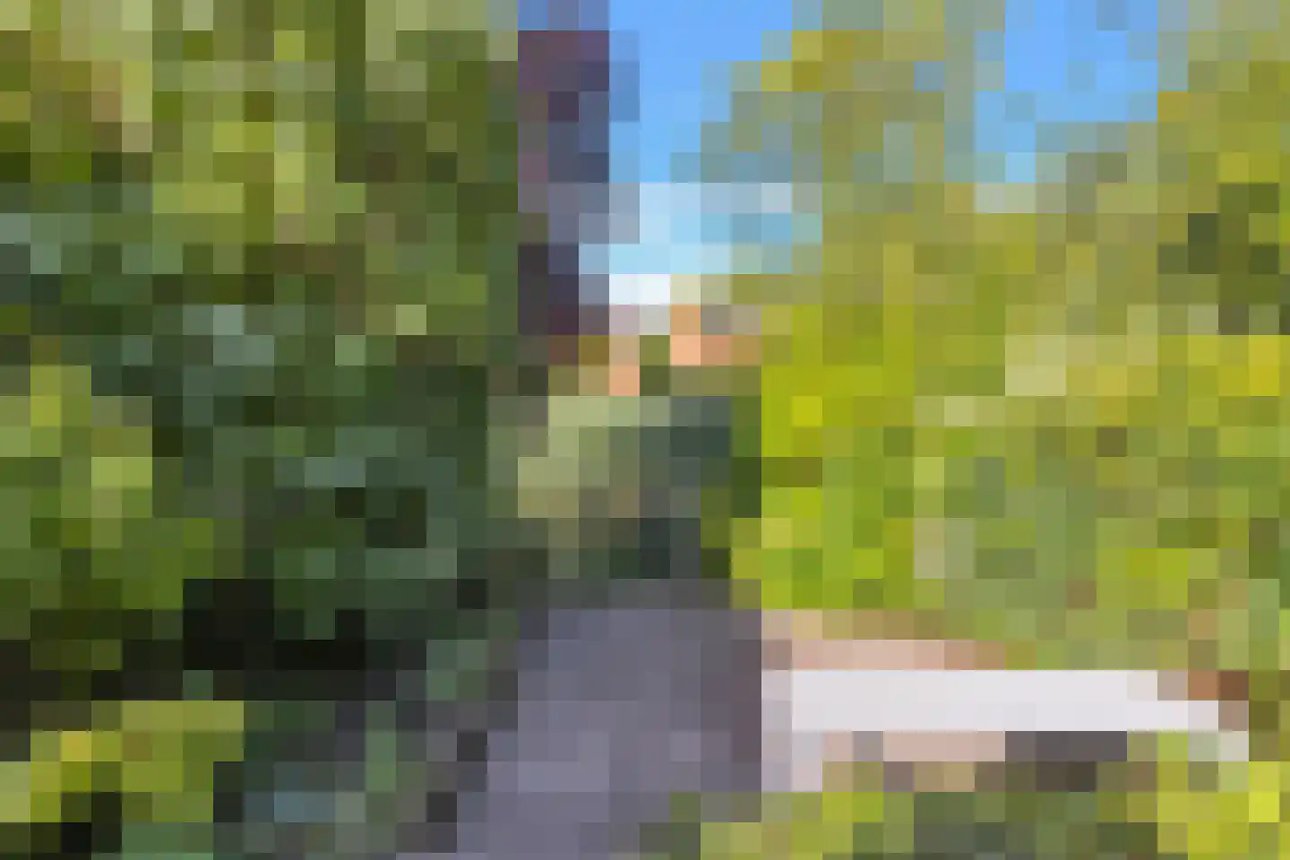 Himalaya 84 Utrecht thumbnail 33