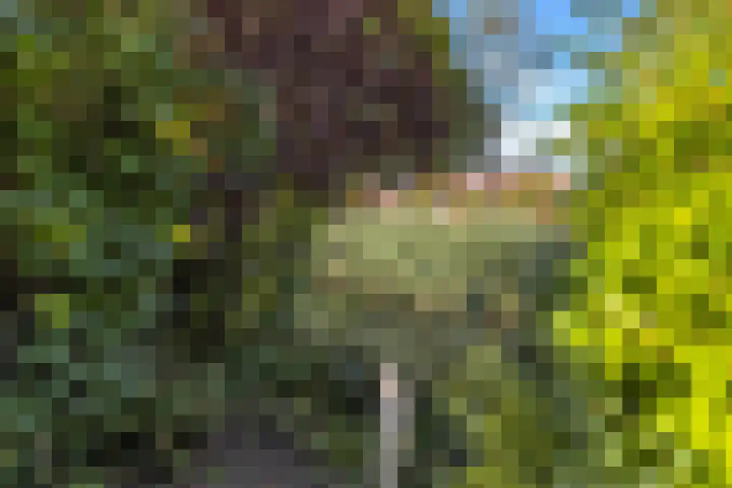 Himalaya 84 Utrecht thumbnail 34