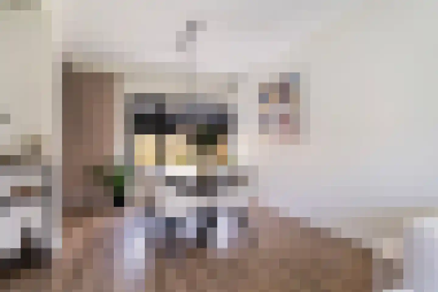 Himdyk 21 Jirnsum thumbnail 13