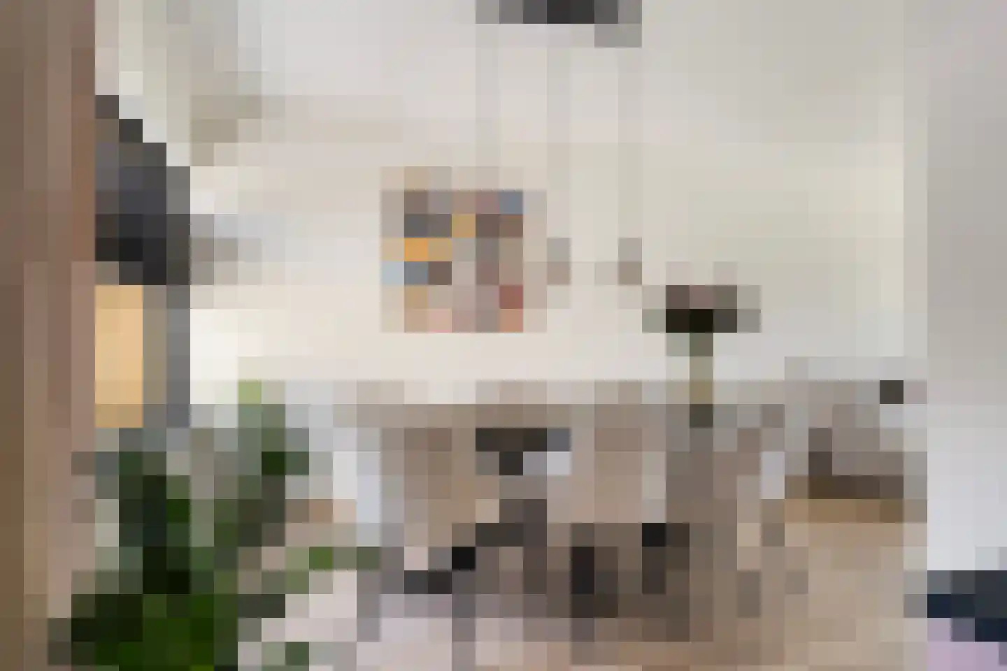Himdyk 21 Jirnsum thumbnail 14