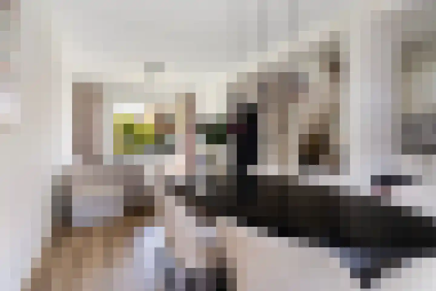 Himdyk 21 Jirnsum thumbnail 15