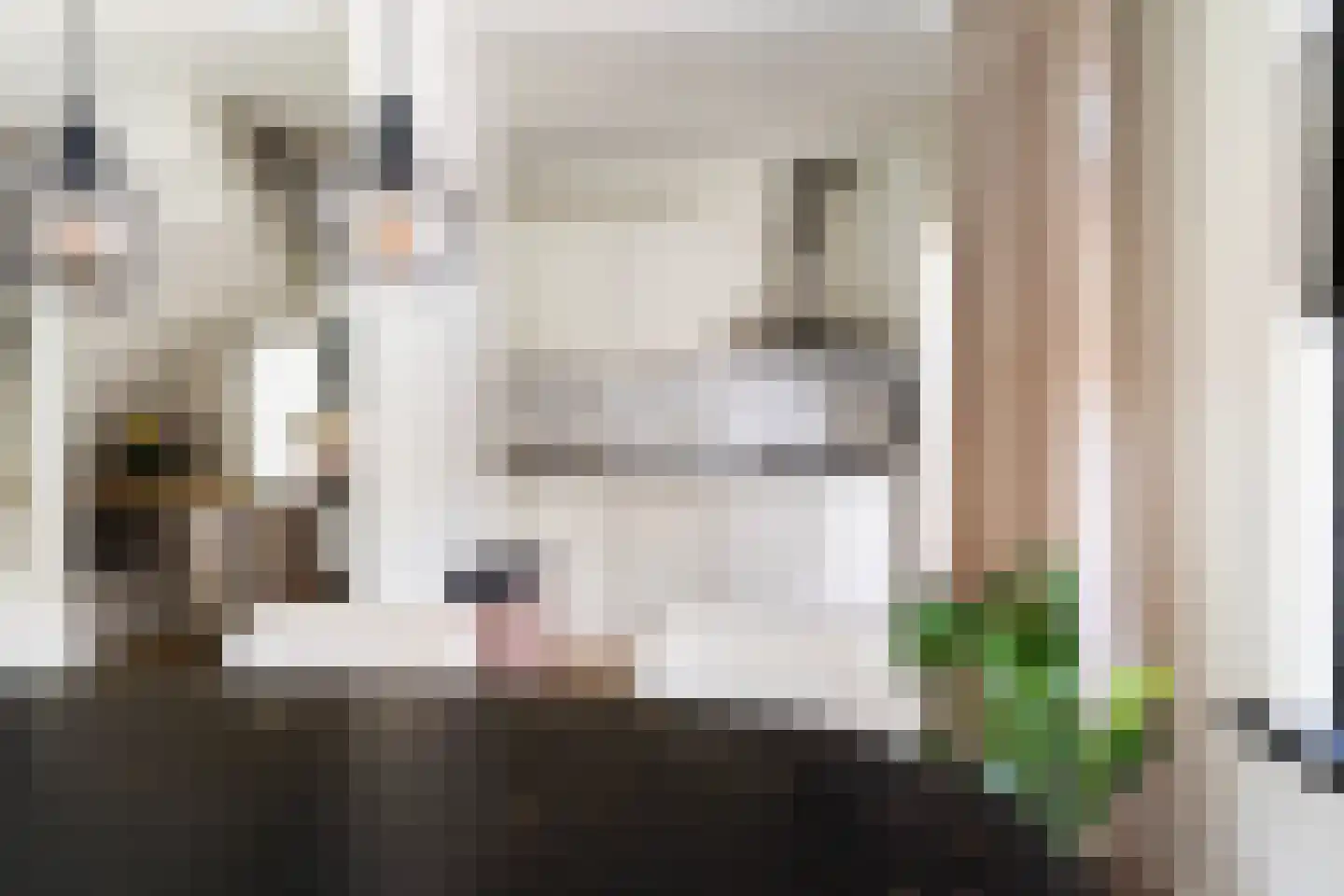 Himdyk 21 Jirnsum thumbnail 17