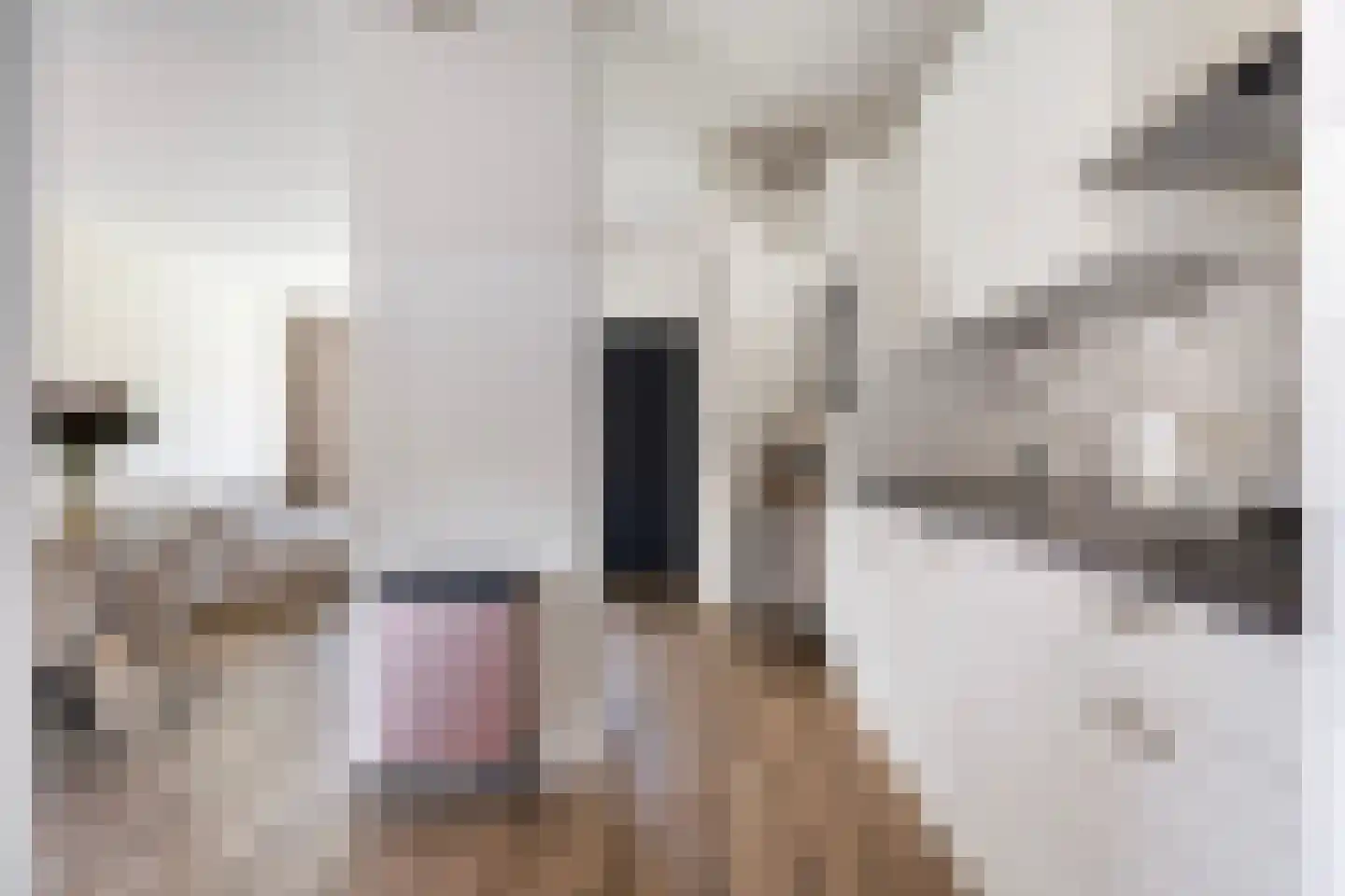 Himdyk 21 Jirnsum thumbnail 18