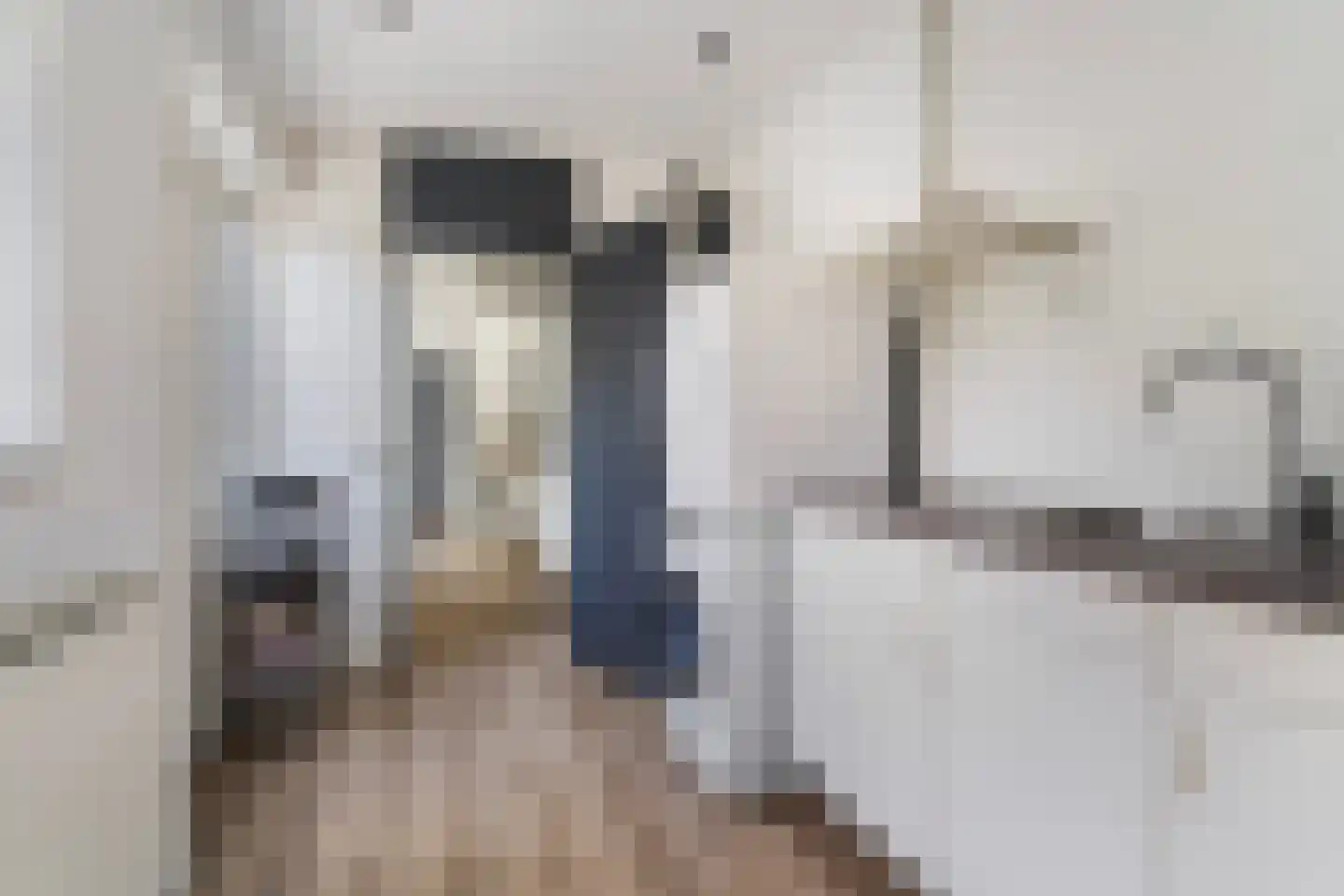 Himdyk 21 Jirnsum thumbnail 22