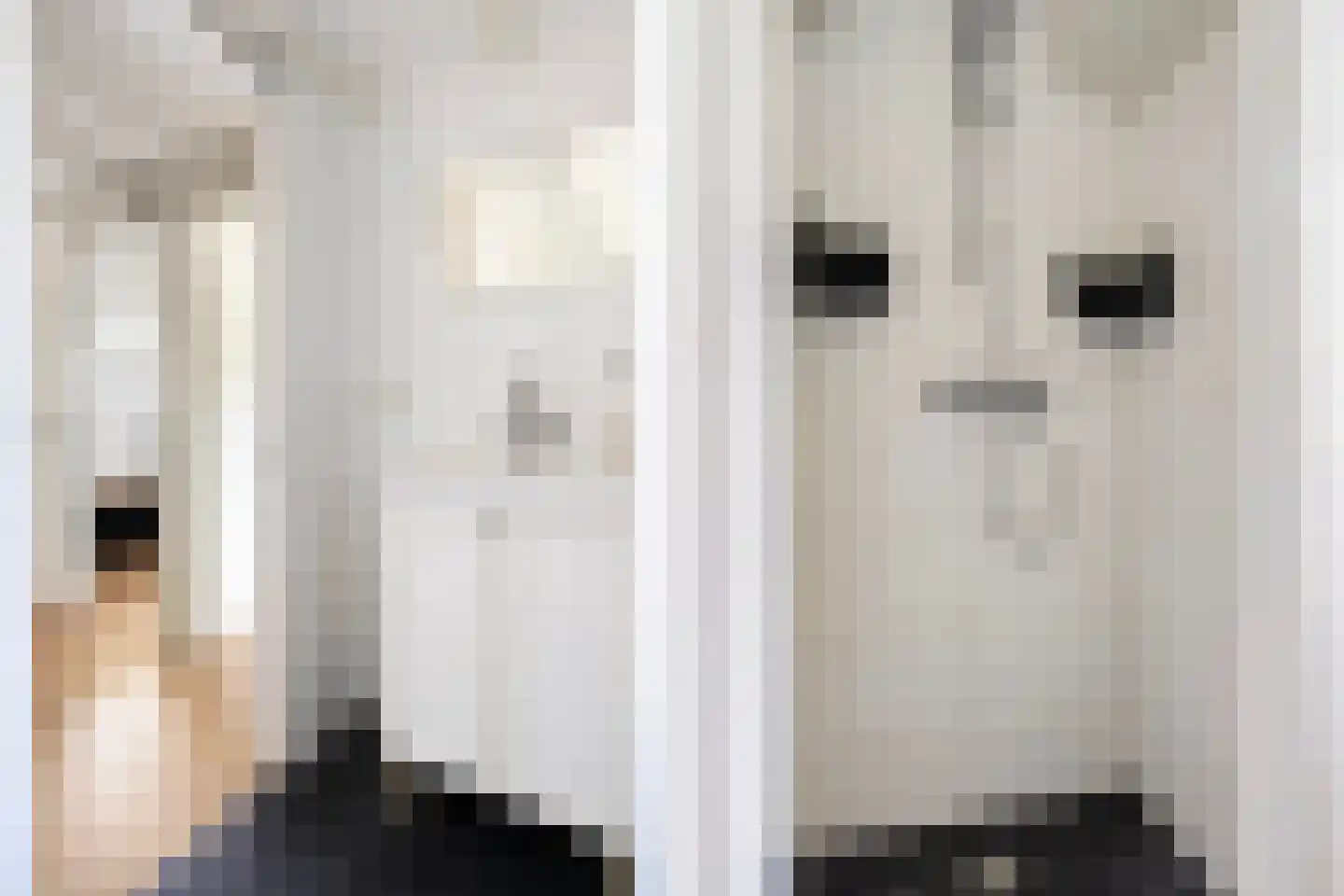 Himdyk 21 Jirnsum thumbnail 31