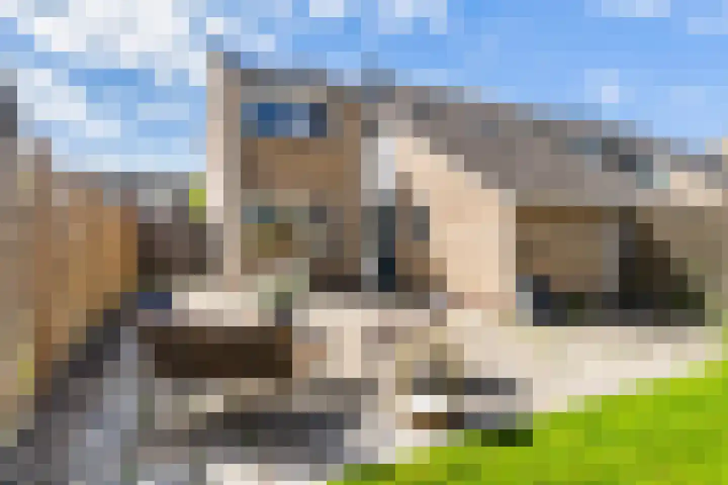 Himdyk 21 Jirnsum thumbnail 32