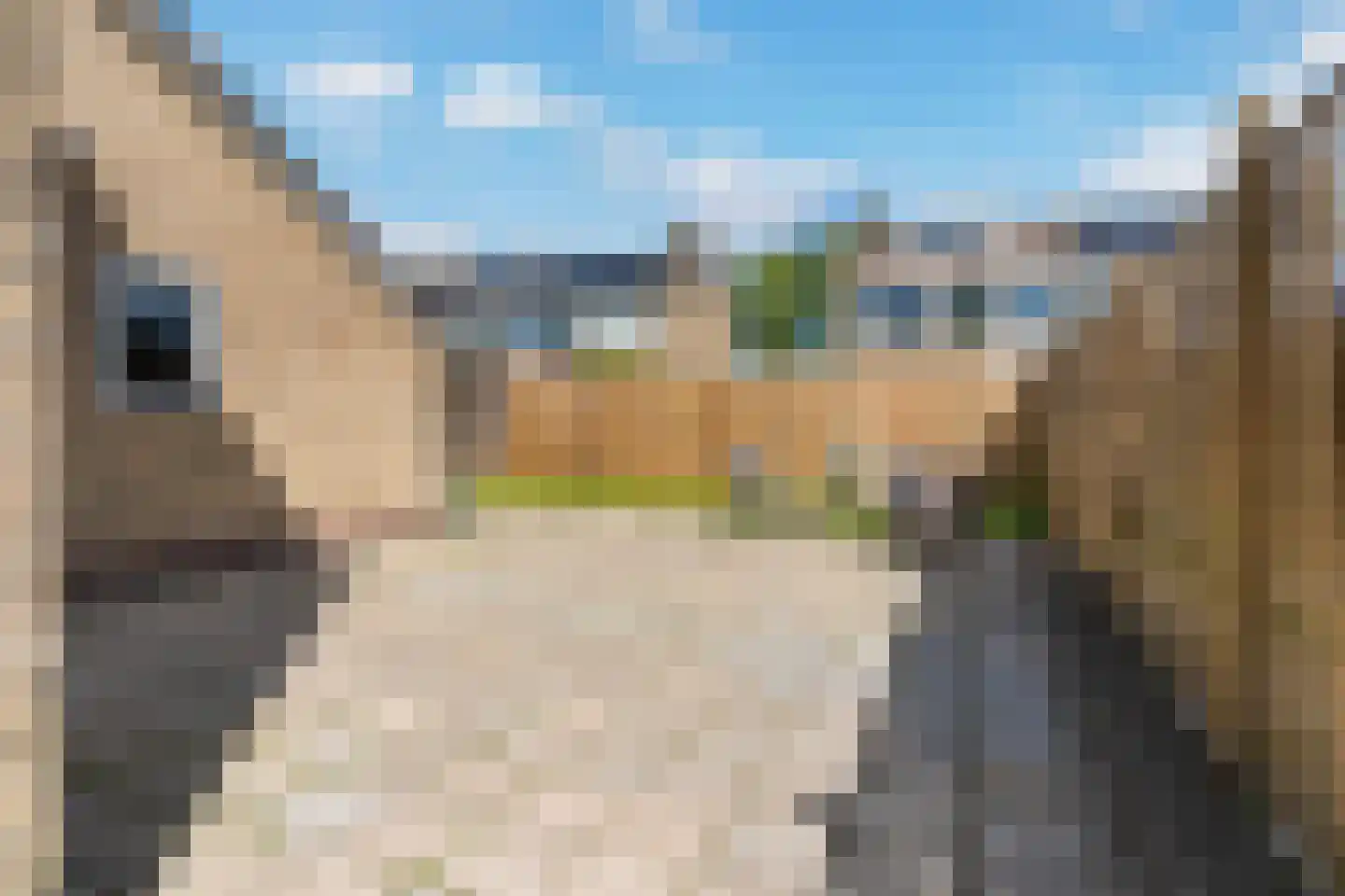 Himdyk 21 Jirnsum thumbnail 34