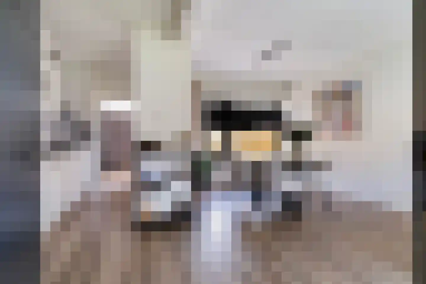 Himdyk 21 Jirnsum thumbnail 5