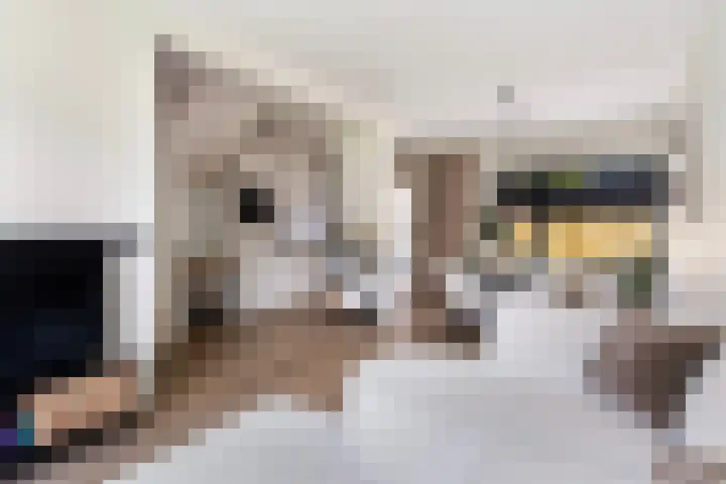 Himdyk 21 Jirnsum thumbnail 9