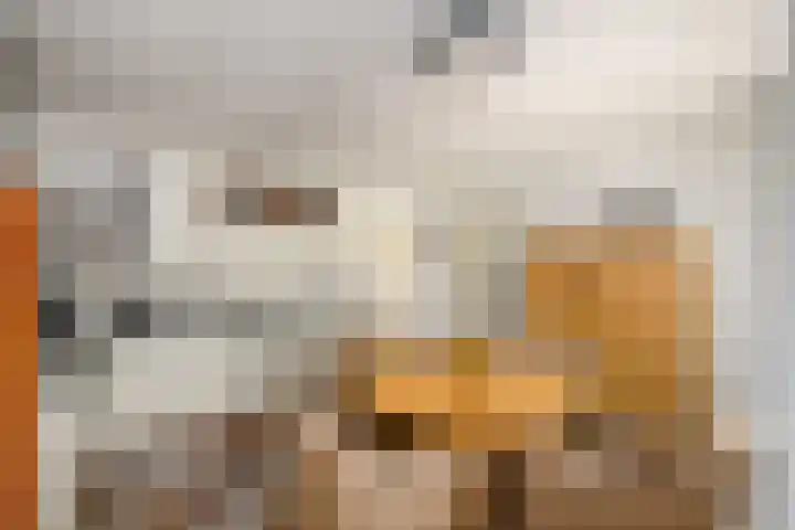 Himellof 6 Buitenpost thumbnail 14