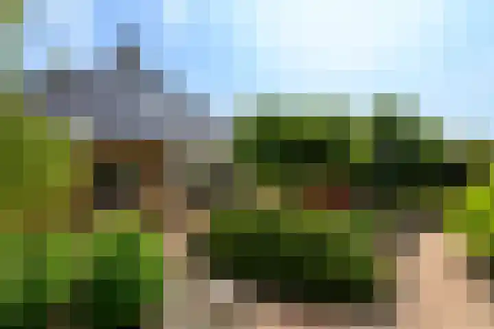Himellof 6 Buitenpost foto 2