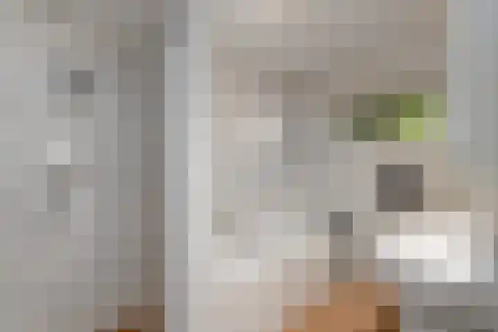 Himellof 6 Buitenpost thumbnail 21