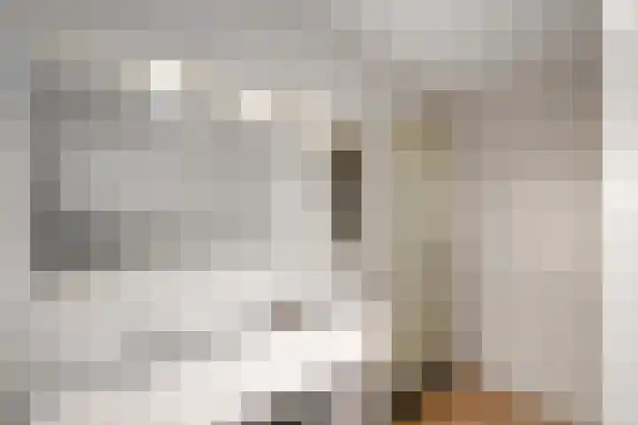 Himellof 6 Buitenpost thumbnail 22
